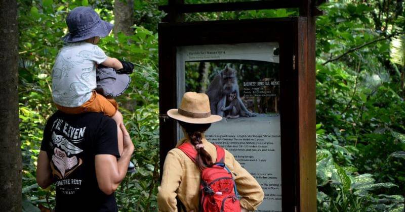 monkeyforestubud.com